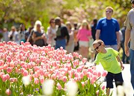 Dallas Arboretum