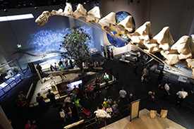 Perot Museum of Nature and Science